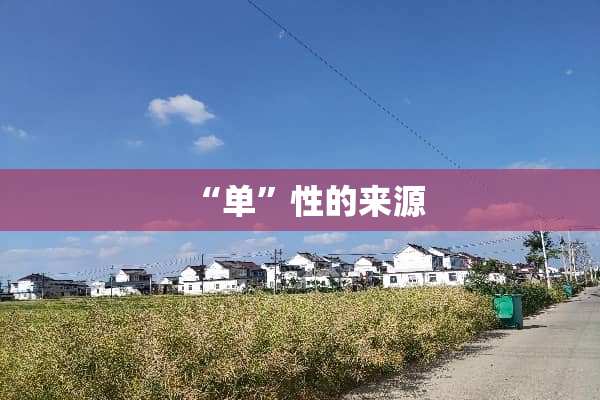 “单”性的来源