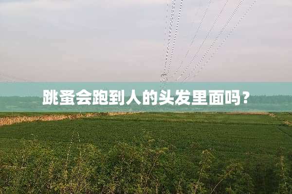 跳蚤会跑到人的头发里面吗？