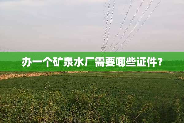 办一个矿泉水厂需要哪些**？