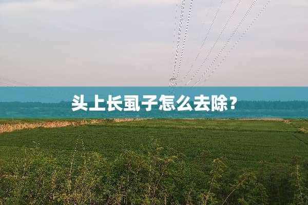 头上长虱子怎么去除？