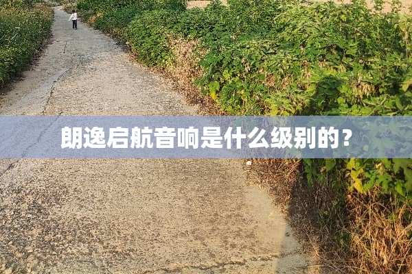 朗逸启航音响是什么级别的？