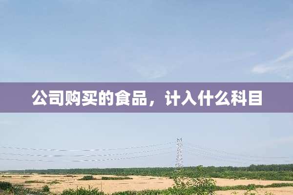 公司购买的食品，计入什么科目