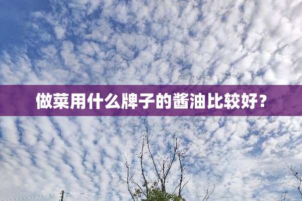 做菜用什么牌子的酱油比较好？