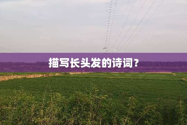 描写长头发的诗词？