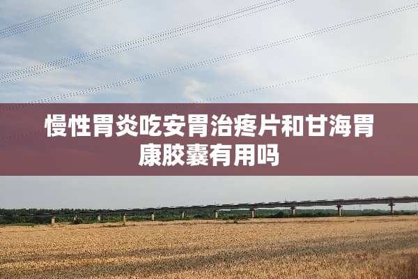 慢性胃炎吃安胃治疼片和甘海胃康胶囊有用吗