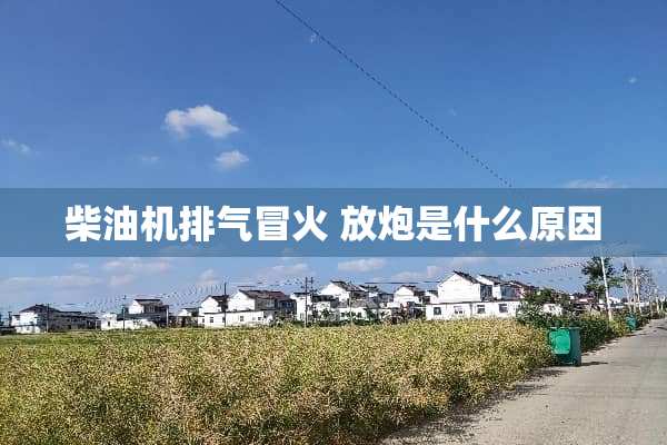 柴油机排气冒火 放*是什么原因