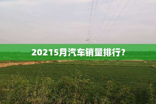 20215月汽车销量排行？