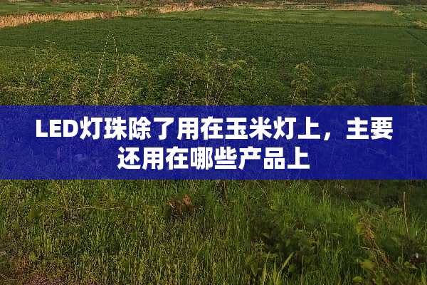 LED灯珠除了用在玉米灯上，主要还用在哪些产品上