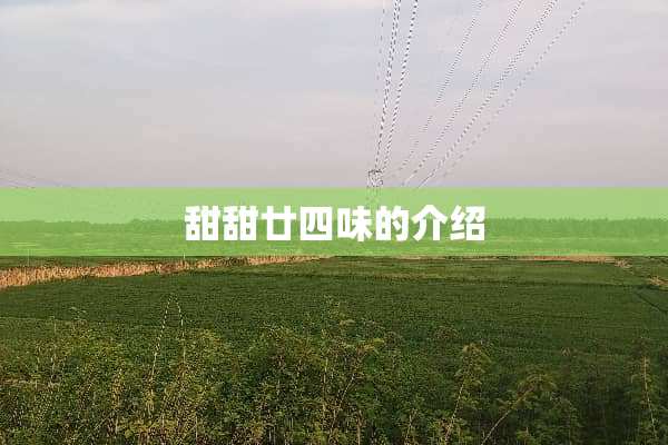 甜甜廿四味的介绍
