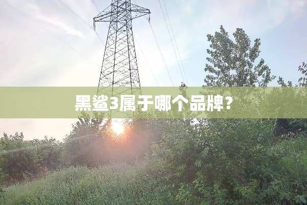 黑鲨3属于哪个品牌？