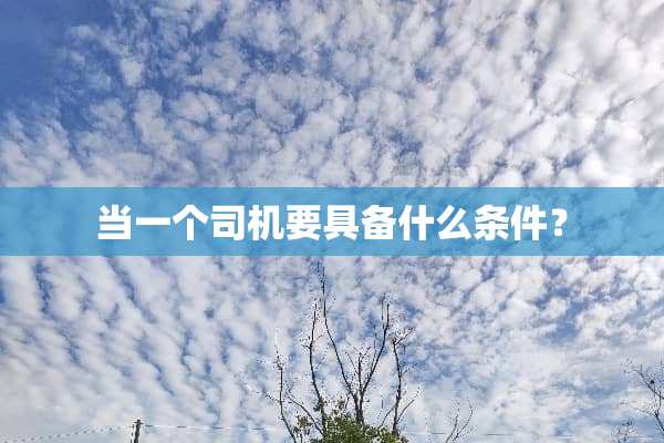 当一个司机要具备什么条件？