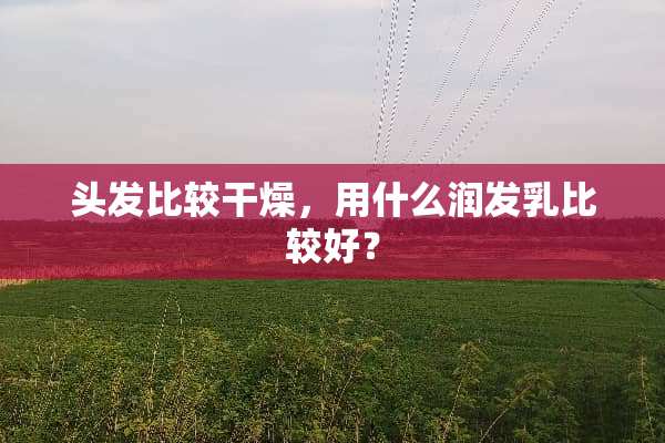 头发比较干燥，用什么润发乳比较好？