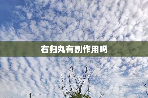 右归丸有副作用吗