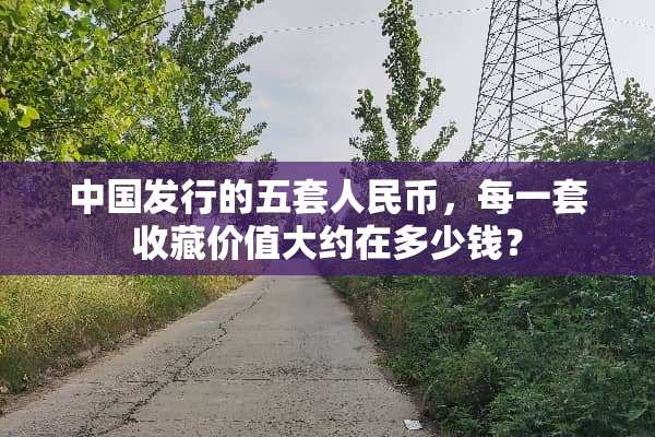 中国发行的五套人民币，每一套收藏价值大约在多少钱？