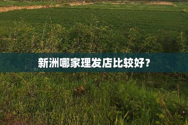 新洲哪家理发店比较好？