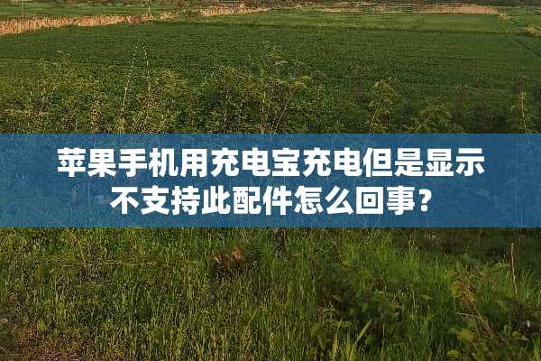 苹果手机用充电宝充电但是显示不支持此配件怎么回事？