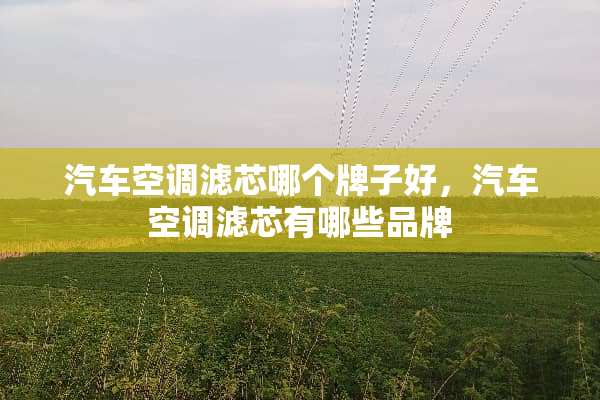 汽车空调滤芯哪个牌子好，汽车空调滤芯有哪些品牌