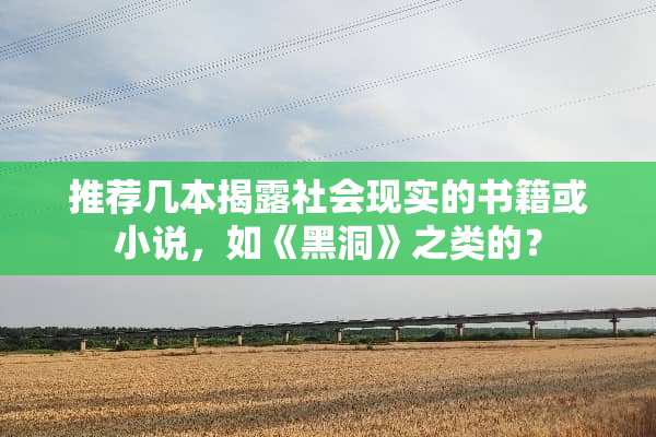 推荐几本揭露社会现实的书籍或小说，如《黑洞》之类的？