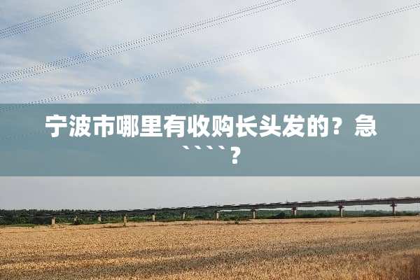 宁波市哪里有收购长头发的？急````？