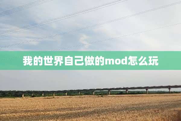 我的世界自己做的mod怎么玩