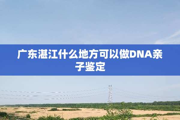 广东湛江什么地方可以做DNA亲子鉴定