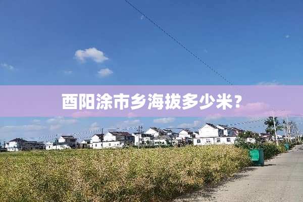 酉阳涂市乡海拔多少米？