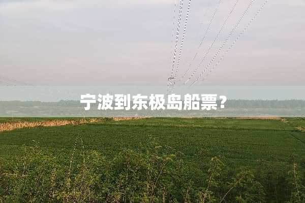 宁波到东极岛船票？