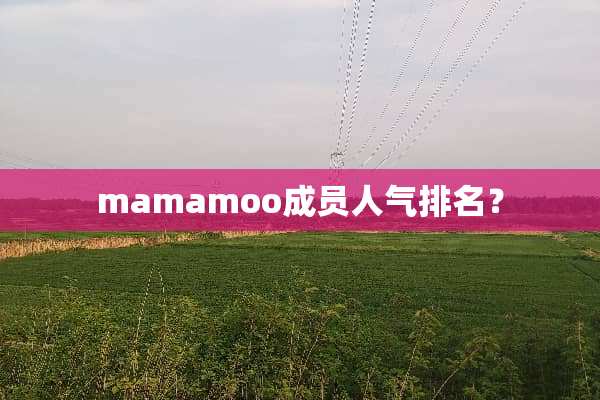 mamamoo成员人气排名？