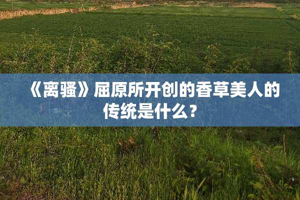 《离*》屈原所开创的香草美人的传统是什么？