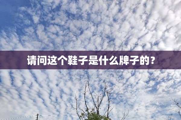 请问这个鞋子是什么牌子的？