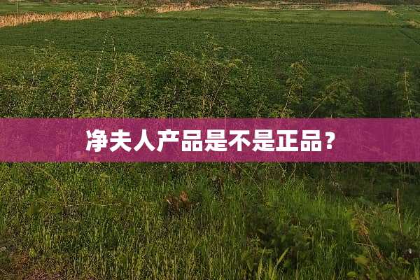 净夫人产品是不是正品？
