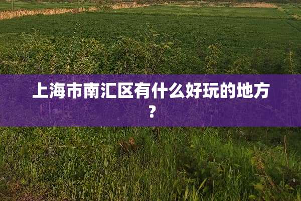 上海市南汇区有什么好玩的地方？