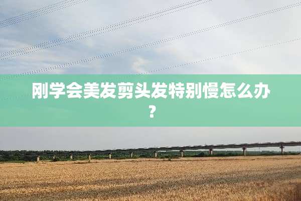 刚学会美发剪头发特别慢怎么办？