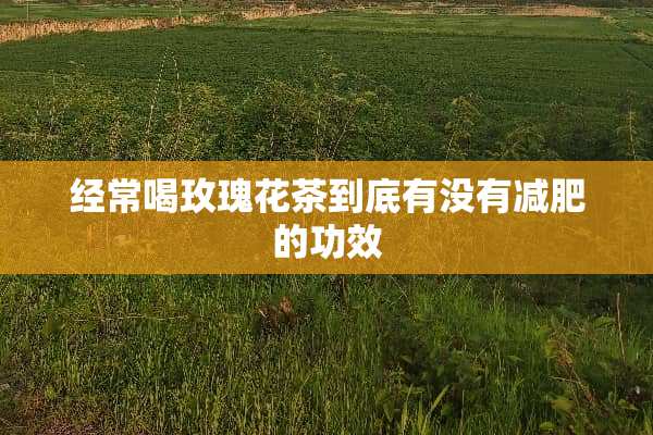经常喝玫瑰花茶到底有没有减肥的功效