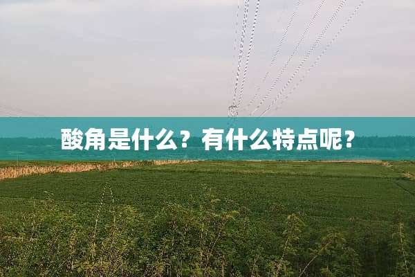 酸角是什么？有什么特点呢？