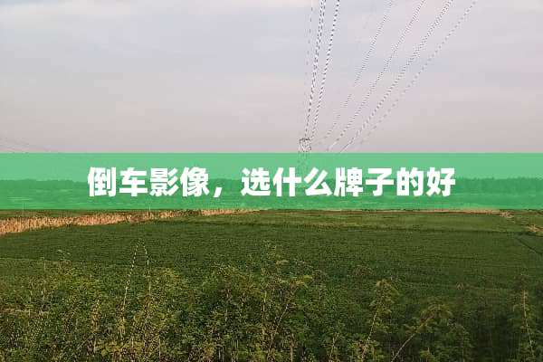 倒车影像，选什么牌子的好