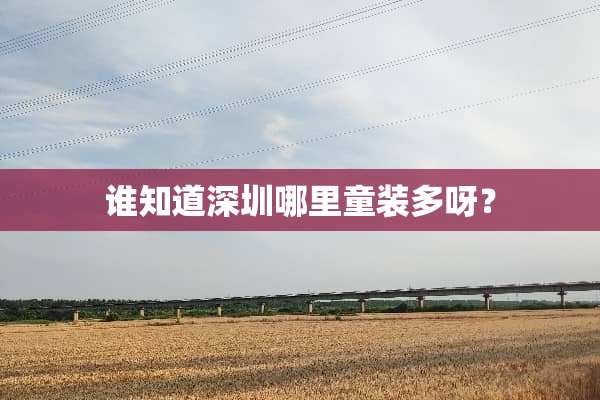谁知道深圳哪里童装多呀？