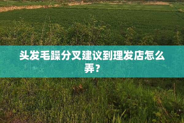 头发毛躁分叉建议到理发店怎么弄？