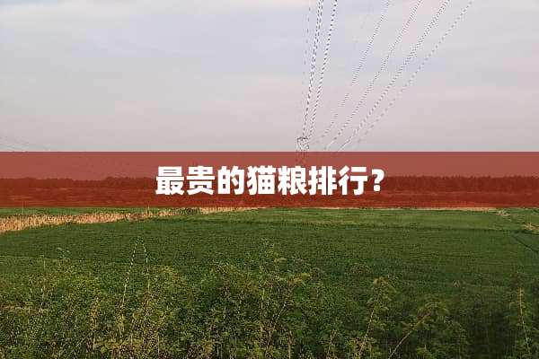 最贵的猫粮排行？