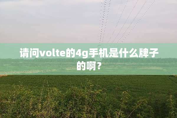 请问volte的4g手机是什么牌子的啊？