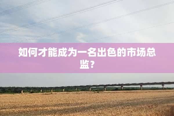 如何才能成为一名出色的市场总监？