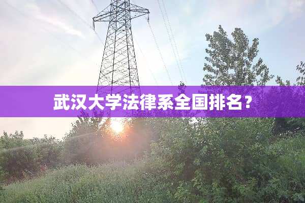 武汉大学法律系全国排名？