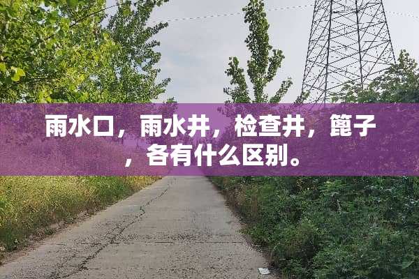 雨水口，雨水井，检查井，篦子，各有什么区别。