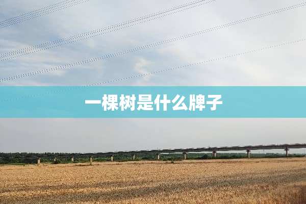 一棵树是什么牌子