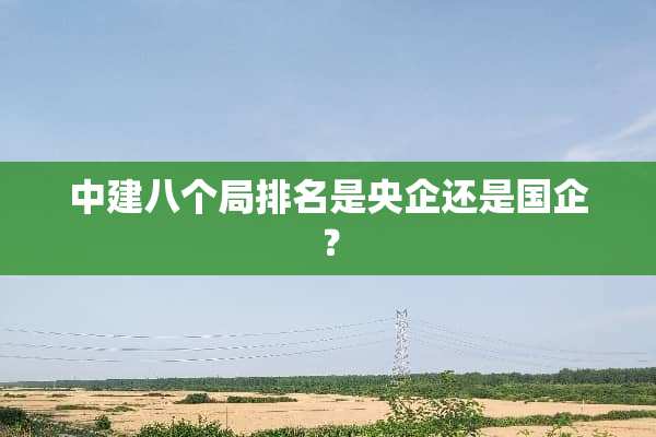 中建八个局排名是央企还是国企？