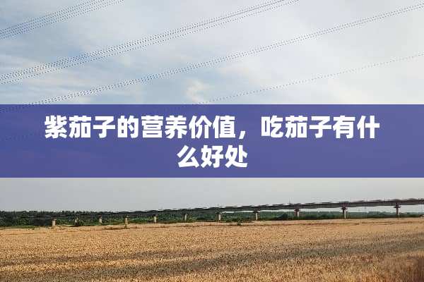 紫茄子的营养价值，吃茄子有什么好处