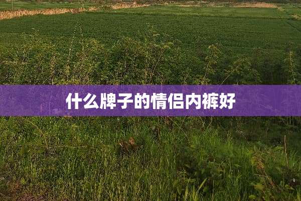 什么牌子的情侣**好