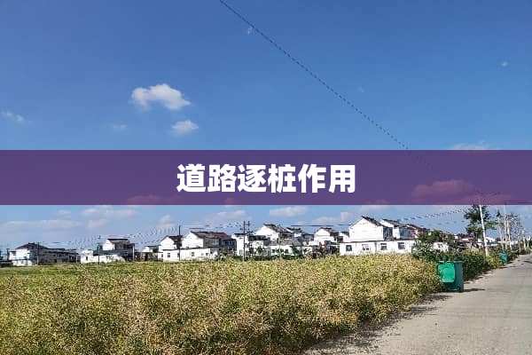 道路逐桩作用