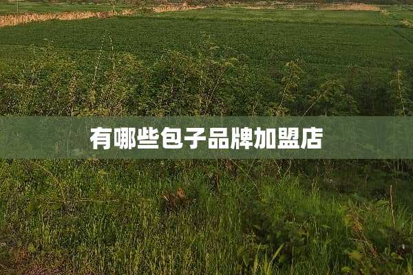 有哪些包子品牌加盟店