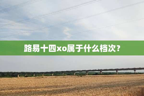 路易十四xo属于什么档次？